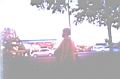 bustop2.jpg