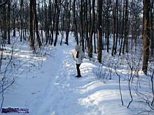 maxiTH09022014_01.jpg